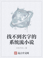 找不到名字的系统流小说在线阅读