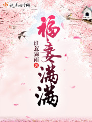 福妻满满