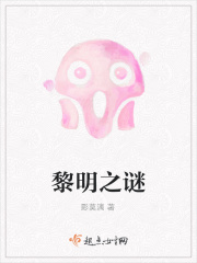 黎明之谜在线阅读