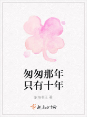 匆匆那年只有十年在线阅读