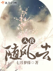 入夜随风去在线阅读