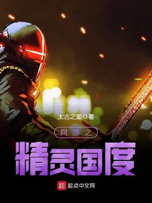 网游之精灵国度