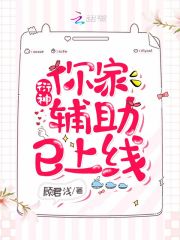 衍神，你家辅助已上线！