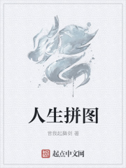 人生拼图在线阅读