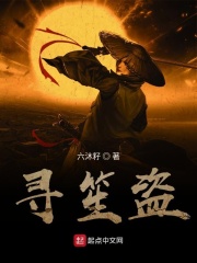 寻笙盗在线阅读