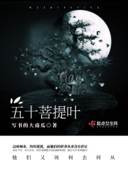 五十菩提叶在线阅读