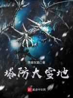 塔防大雪地封面