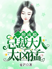 一醉成瘾：总裁大人太凶猛