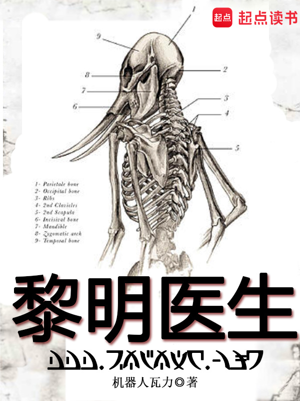 黎明医生在线阅读