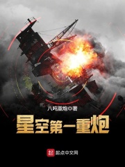 星空第一重炮在线阅读