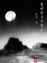 当时明月今虽在在线阅读