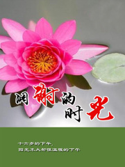 凋谢的时光在线阅读