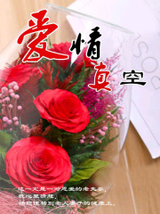 爱情真空