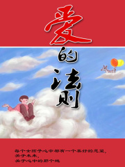 爱的法则在线阅读