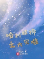 哈利波特之大灾难在线阅读