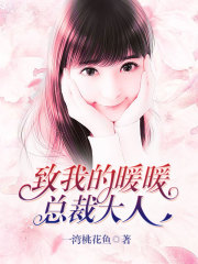 致我的暖暖总裁大人