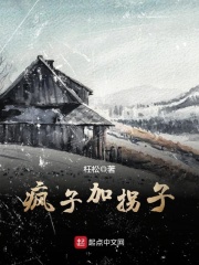 疯子加拐子在线阅读