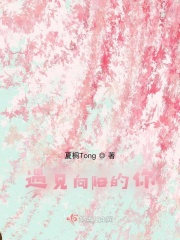 遇见向阳的你在线阅读