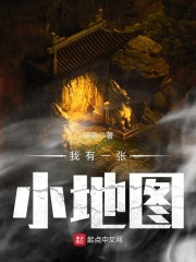 我有一张小地图在线阅读