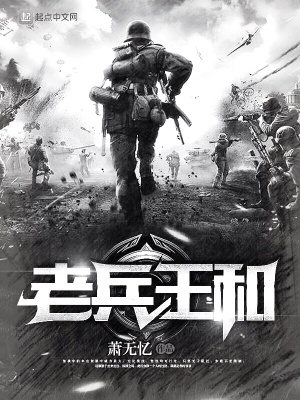老兵王和在线阅读