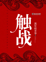 触战在线阅读
