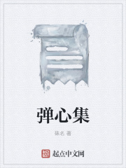弹心集在线阅读