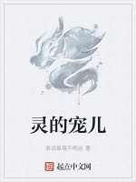 灵的宠儿在线阅读