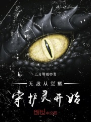 无敌从觉醒守护灵开始