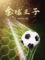 金球王子在线阅读