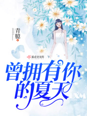曾拥有你的夏天在线阅读