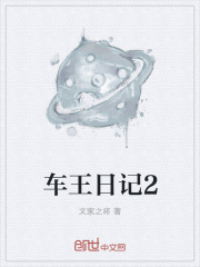 车王日记2
