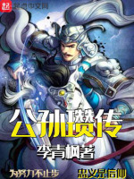公孙瓒传封面