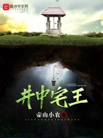 井中宅王在线阅读
