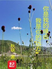 你是我的缘由，我是你的远方在线阅读