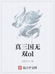 真三国无双