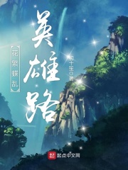 花繁蝶乱英雄路在线阅读