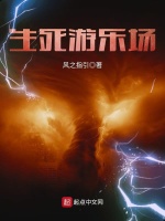 生死游乐场封面