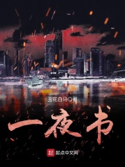 一夜书在线阅读