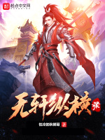 无轩纵横录在线阅读