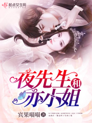 夜先生和亦小姐在线阅读