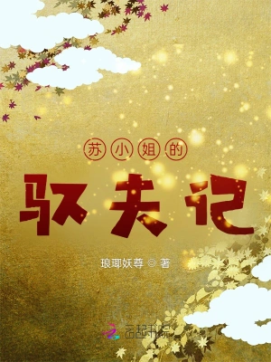 苏小姐的驭夫记