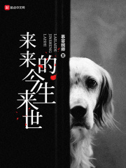 来来的今生来世在线阅读