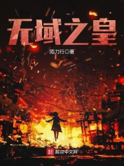 无域之皇在线阅读