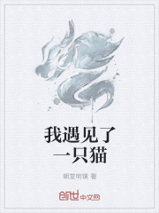 我遇见了一只猫