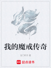 我的魔戒传奇