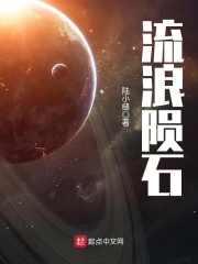 流浪陨石在线阅读