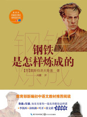 钢铁是怎样炼成的在线阅读
