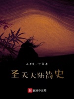 圣天大陆简史在线阅读