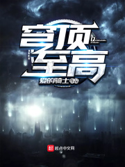 穹顶至高在线阅读