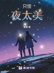 只怪夜太美在线阅读